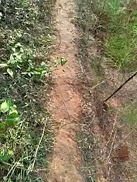 Snapshot of Gopal1243 chatting on December 14, 2024, 2:01 am Gopal1243 online show from December 14, 2024, 2:01 am