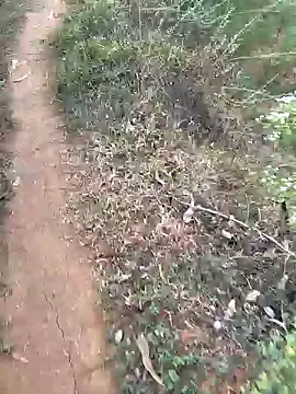 Snapshot of Gopal1243 chatting on January 15, 2025, 2:27 am Gopal1243 online show from January 15, 2025, 2:27 am