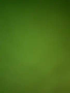 Snapshot of Gopal1243 chatting on January 29, 2025, 9:12 am Gopal1243 online show from January 29, 2025, 9:12 am