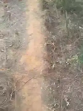 Snapshot of Gopal1243 chatting on February 10, 2025, 2:08 am Gopal1243 online show from February 10, 2025, 2:08 am