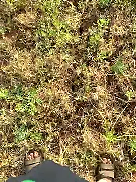 Snapshot of Gopal1243 chatting on March 23, 2025, 2:15 am Gopal1243 online show from March 23, 2025, 2:15 am