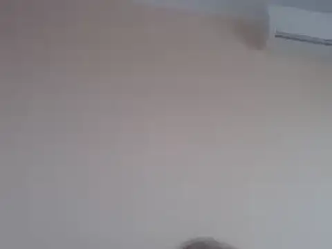 aavocadok online show from December 12, 2024, 8:03 am