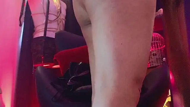 PerlaDivaio online show from April 13, 2026, 1:49 pm