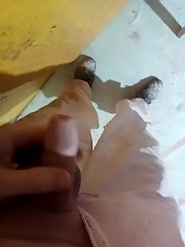 Snapshot of GeilerSchweizer chatting on January 29, 2025, 3:37 pm GeilerSchweizer online show from January 29, 2025, 3:37 pm