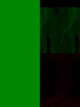 Snapshot of GeilerSchweizer chatting on November 25, 2025, 8:47 am GeilerSchweizer online show from November 25, 2025, 8:47 am