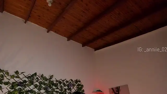 annie barozzi online show from January 21, 2025, 1:32 pm