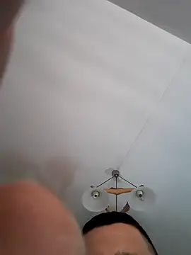 Pitbul889 online show from November 1, 2025, 6:43 pm