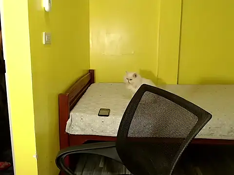 xx goddessofallgodess xx online show from October 2, 2025, 2:51 am