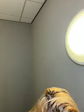 Snapshot of Strongqueen chatting on February 13, 2026, 6:15 pm Strongqueen online show from February 13, 2026, 6:15 pm