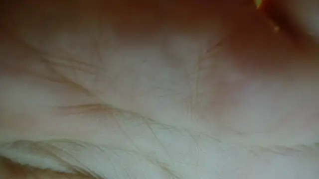 Snapshot of Sassy_Latina chatting on January 12, 2026, 3:01 am Sassy Latina online show from January 12, 2026, 3:01 am