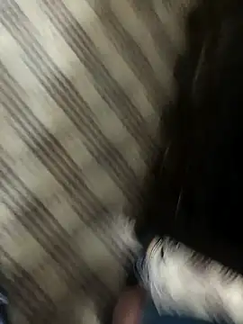 Snapshot of hotdickhow chatting on March 8, 2025, 3:35 pm hotdickhow online show from March 8, 2025, 3:35 pm