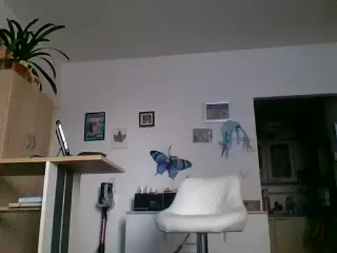 82liska online show from November 28, 2025, 9:56 am