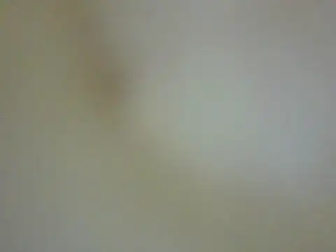 Snapshot of CaptainFox chatting on May 22, 2026, 7:30 pm CaptainFox online show from May 22, 2026, 7:30 pm