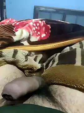 Snapshot of Deshilund9 chatting on January 9, 2025, 3:04 am Deshilund9 online show from January 9, 2025, 3:04 am