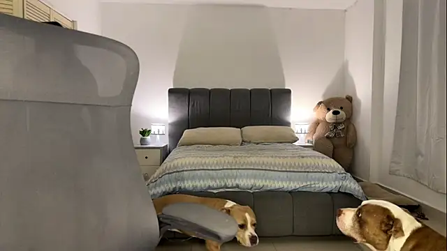 Snapshot of nurbanu_hatem chatting on February 13, 2026, 8:43 am nurbanu hatem online show from February 13, 2026, 8:43 am