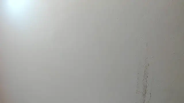 sarita loven online show from July 17, 2026, 5:03 am