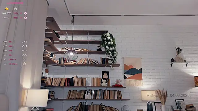 Snapshot of Riskyproject chatting on March 4, 2025, 1:17 pm Riskyproject online show from March 4, 2025, 1:17 pm