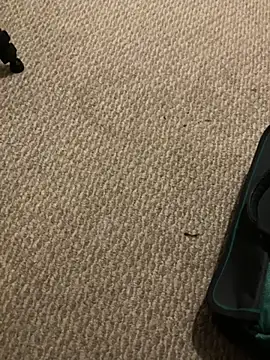 Snapshot of 1Lustfully_yours chatting on November 10, 2025, 7:57 pm 1Lustfully yours online show from November 10, 2025, 7:57 pm