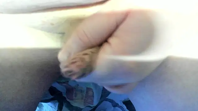 Snapshot of Big_Andiy chatting on December 19, 2025, 4:19 am Big Andiy online show from December 19, 2025, 4:19 am