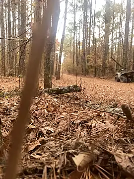 Snapshot of Themechanic420 chatting on December 14, 2024, 7:14 pm Themechanic420 online show from December 14, 2024, 7:14 pm