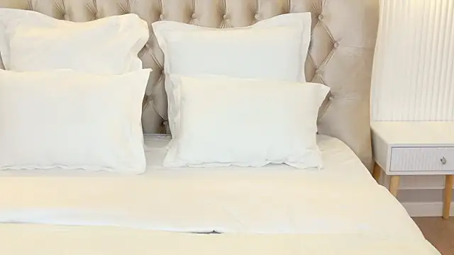 LilyRaisa online show from March 15, 2025, 4:57 am