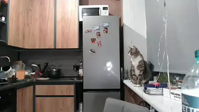 delightful sofi online show from March 21, 2026, 6:44 pm