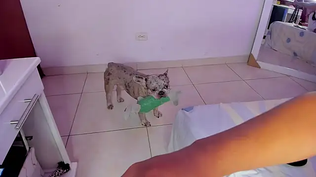 SophiieWilson  online show from October 27, 2025, 3:43 am