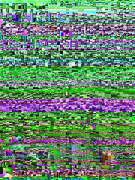 Snapshot of versetopcouple chatting on October 29, 2025, 4:09 pm versetopcouple online show from October 29, 2025, 4:09 pm