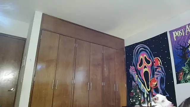 MINI Petite online show from December 15, 2025, 5:50 pm