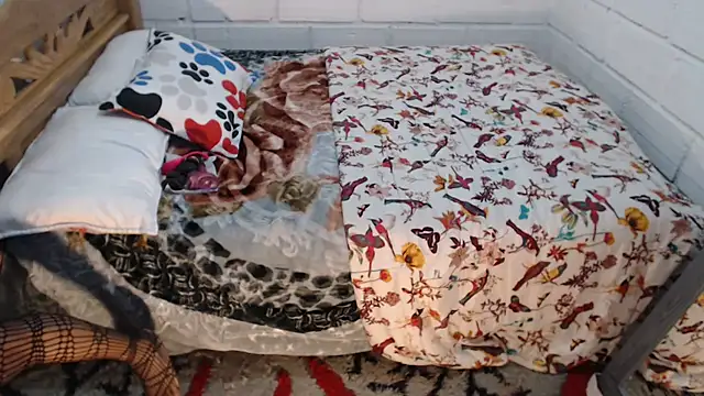 Snapshot of sexyjustin202 chatting on December 15, 2025, 10:58 pm sexyjustin202 online show from December 15, 2025, 10:58 pm