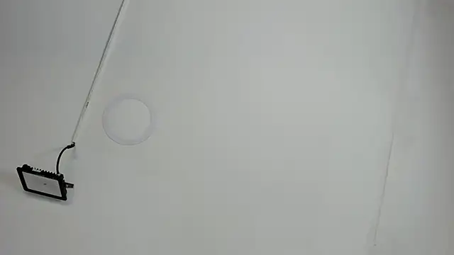 CeliWoods online show from October 12, 2025, 11:20 am