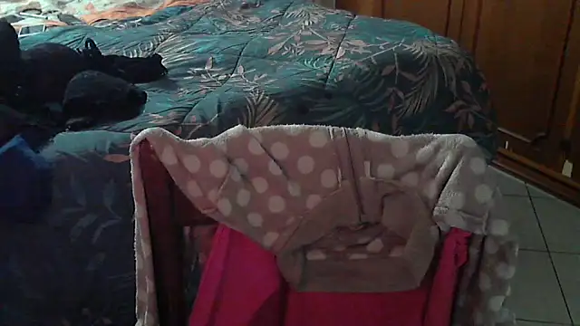 stellin online show from February 17, 2026, 4:57 pm