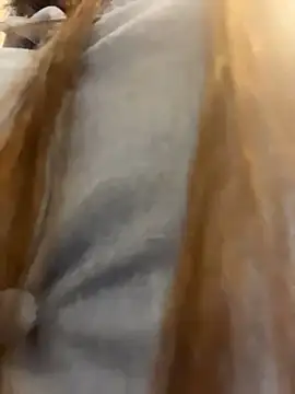 Snapshot of Reggie-Liam chatting on January 9, 2026, 12:46 am Reggie-Liam online show from January 9, 2026, 12:46 am