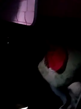 Snapshot of 121fff chatting on October 9, 2025, 9:40 am 121fff online show from October 9, 2025, 9:40 am