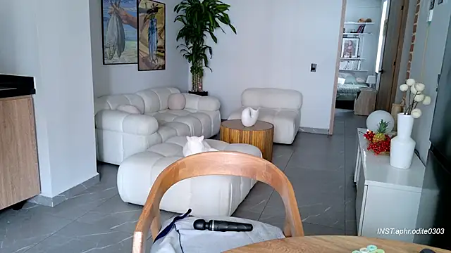 Nikol-JE online show from February 25, 2026, 8:29 pm