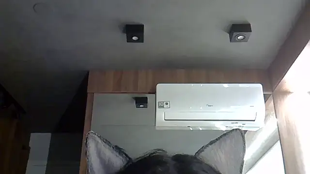 Skinny-Kitten online show from October 20, 2025, 1:39 am