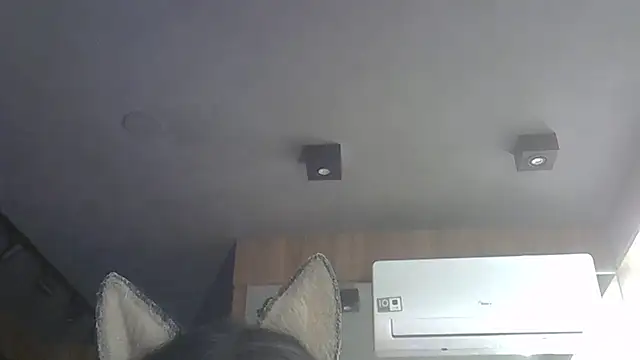 Skinny-Kitten online show from November 27, 2025, 3:47 pm