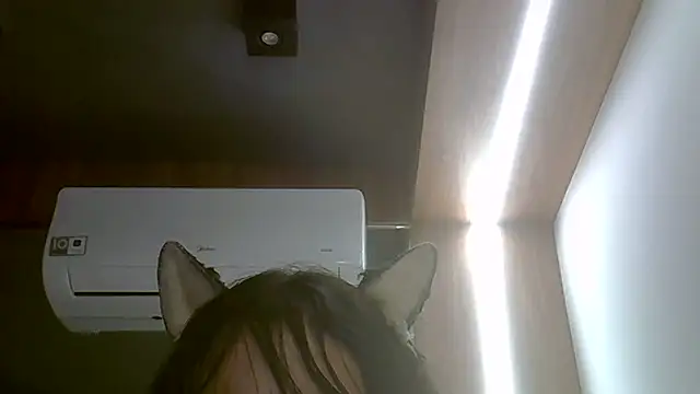 Skinny-Kitten online show from February 13, 2026, 1:34 am