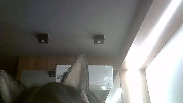 Skinny-Kitten online show from February 15, 2026, 2:19 am