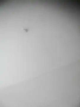 bestofyalcinturkey online show from December 3, 2024, 12:49 pm