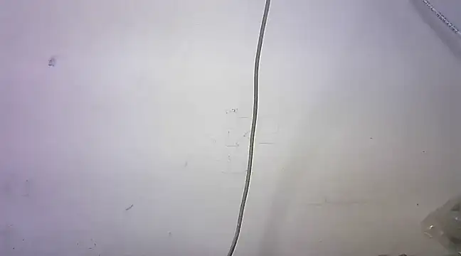 Snapshot of mrose8080 chatting on March 6, 2025, 2:08 pm mrose8080 online show from March 6, 2025, 2:08 pm