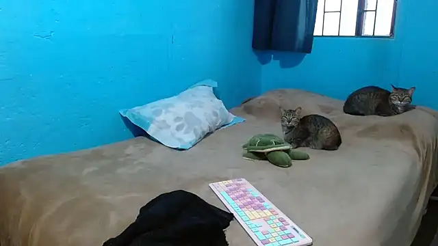 Snapshot of clarisse69 chatting on March 18, 2025, 5:10 pm clarisse69 online show from March 18, 2025, 5:10 pm