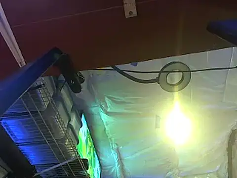 Snapshot of CloudDadddyyy420 chatting on October 15, 2025, 10:43 pm CloudDadddyyy420 online show from October 15, 2025, 10:43 pm