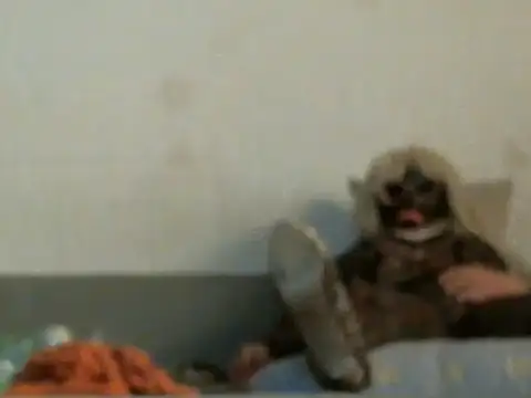 Snapshot of qwer1234 chatting on March 5, 2026, 5:47 am qwer1234 online show from March 5, 2026, 5:47 am