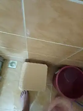 Sexis26 online show from March 15, 2025, 3:16 pm