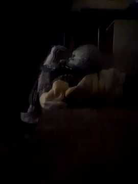 Snapshot of Daza67 chatting on March 4, 2026, 6:25 pm Daza67 online show from March 4, 2026, 6:25 pm