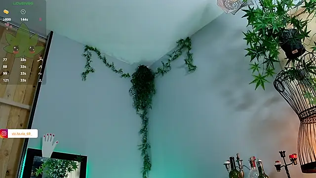 VickyJackson  online show from January 25, 2025, 8:00 pm