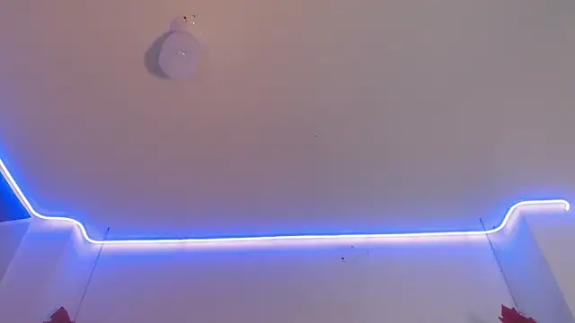 Snapshot of DaMikaela_ chatting on December 18, 2024, 9:29 pm DaMikaela online show from December 18, 2024, 9:29 pm