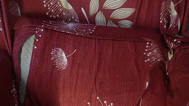 -AyeshaSinghania- online show from October 16, 2025, 8:48 am