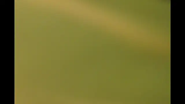 -AyeshaSinghania- online show from March 26, 2026, 10:21 am